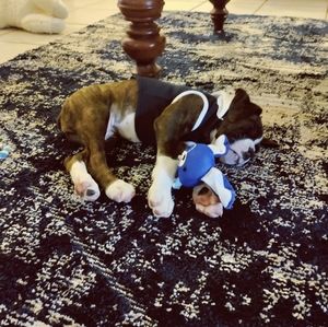 Meet your Posher, Heather